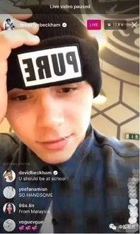 娱乐cp吃瓜直播视频,娱乐CP吃瓜大揭秘，精彩瞬间不容错过！