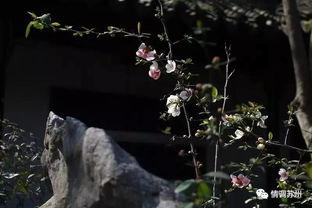 国产久丁香,传承与创新中的民族香氛传奇